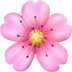 🌸