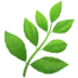 🌿